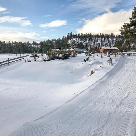 Awesome In With House A Mountain View Tynset