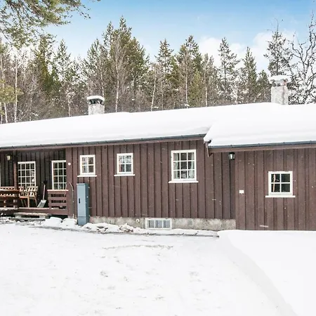 Awesome In With House A Mountain View Сasa de vacaciones Tynset